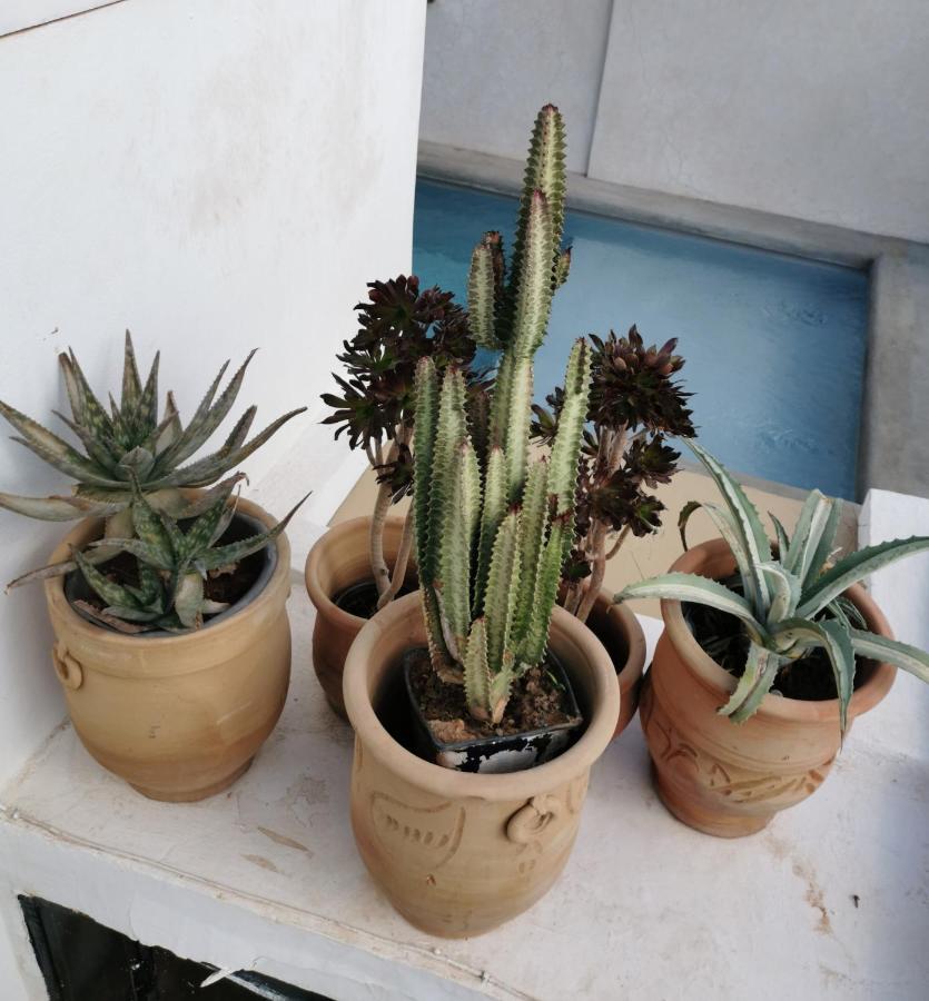 Riad Bab Aylen - Piscine Roof Top Chauffee 马拉喀什 外观 照片